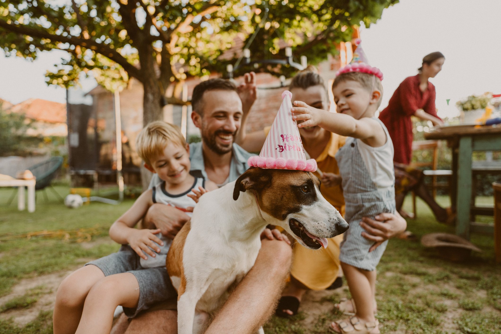 Dog celebrates birthday with his family